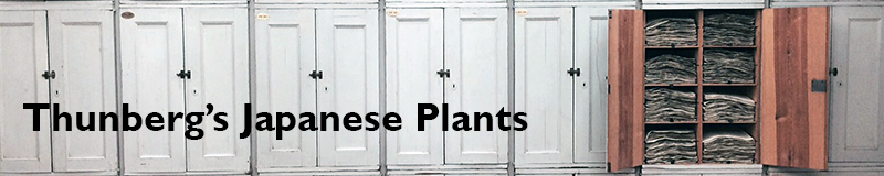 Thunberg's Japanese Plants - an image database
