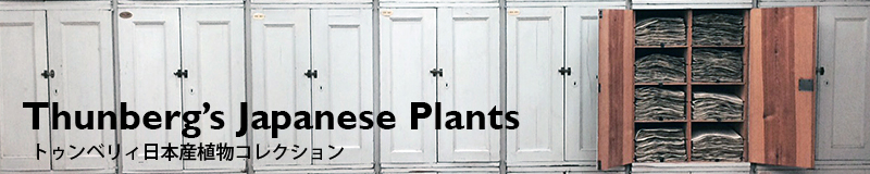 Thunberg's Japanese Plants - an image database